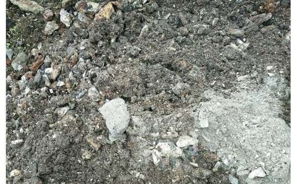 怎么捡煤渣种金弹子下山桩的方法