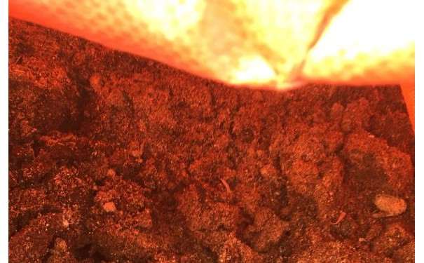 金弹子下山桩生桩怎么用土的方法