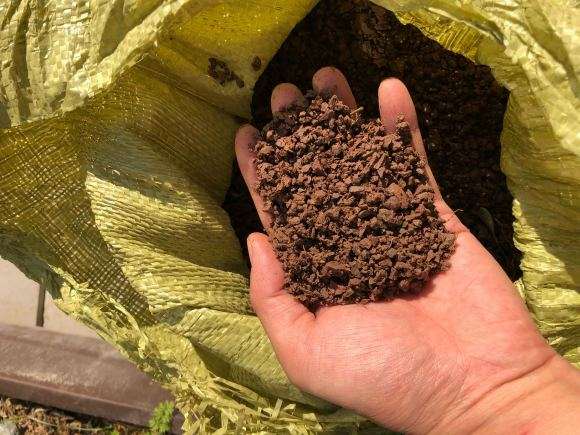 风化石个种老鸦柿下山桩