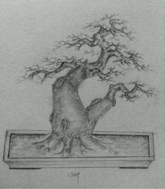 对节白蜡下山桩都用的什么土