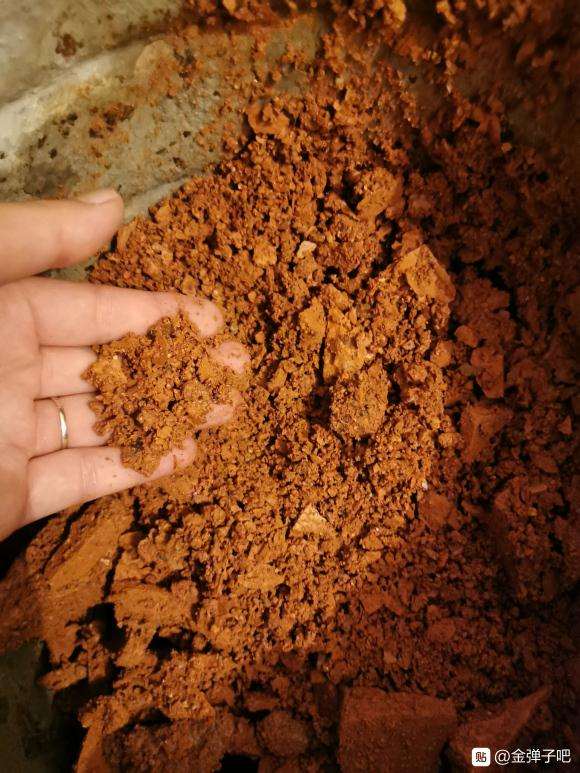 红砖碎渣栽下金弹子下山桩