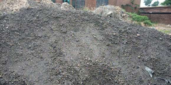 锅炉煤渣种植老鸦柿下山桩