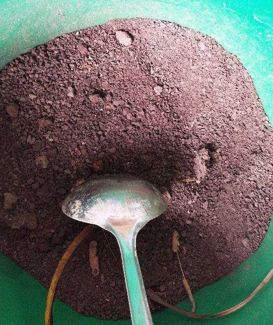 金弹子下山桩生桩用风化石