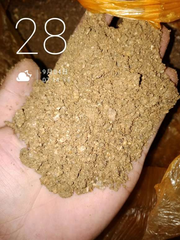 金弹子下山桩生桩用什么土