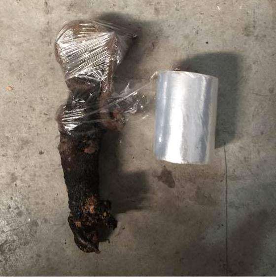 为什么金弹子下山桩要多菌灵消毒