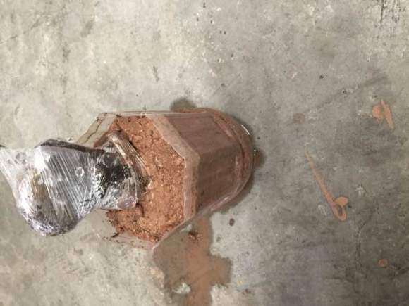为什么金弹子下山桩要多菌灵消毒