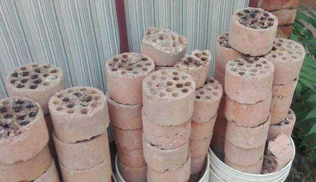 为什么煤碴适合种下山桩