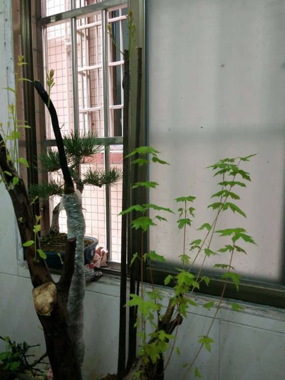金弹子下山桩没有沙子 只用泥巴 可以吗