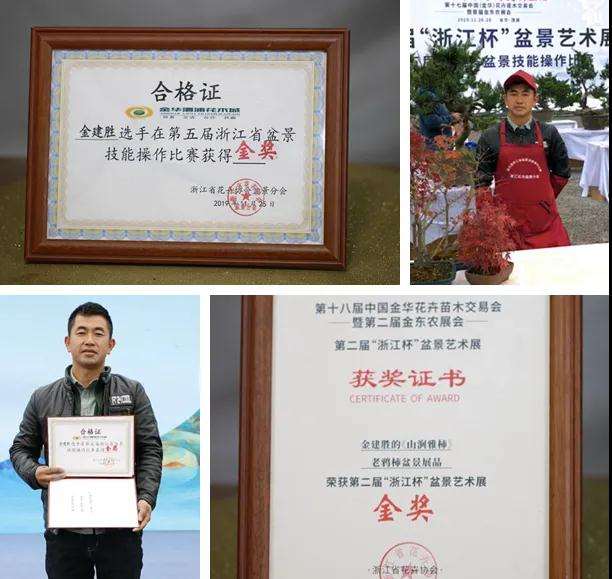 图解 水旱盆景《马栖松林》的制作过程