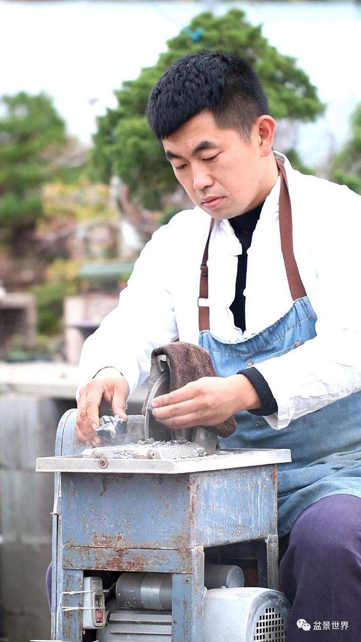 图解 水旱盆景《马栖松林》的制作过程