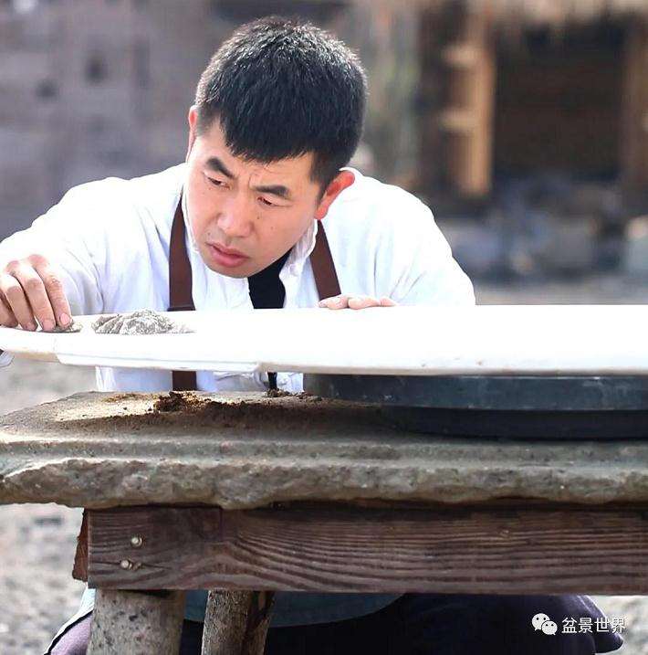 图解 水旱盆景《马栖松林》的制作过程