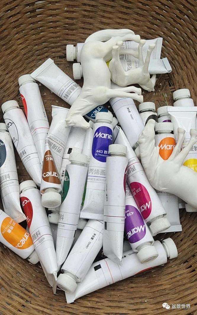 图解 水旱盆景《马栖松林》的制作过程