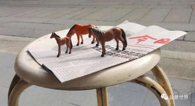 图解 水旱盆景《马栖松林》的制作过程