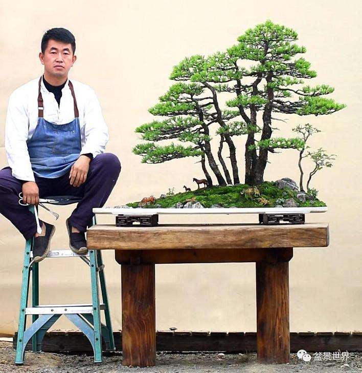 图解 水旱盆景《马栖松林》的制作过程