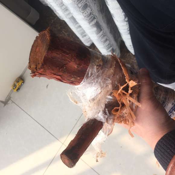 山木香下山桩怎么嫁接月季的方法