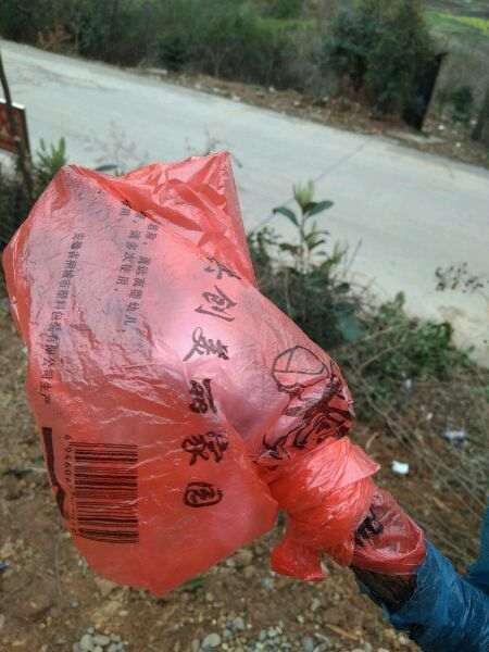 山木香下山桩怎么嫁接玫瑰的方法