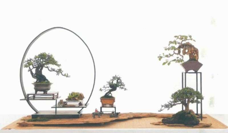 云南省盆景协会成立20周年庆典