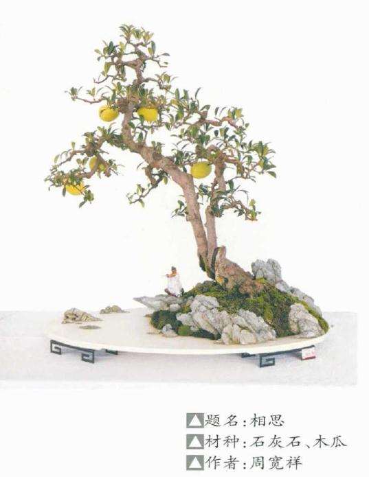 云南省盆景协会成立20周年庆典