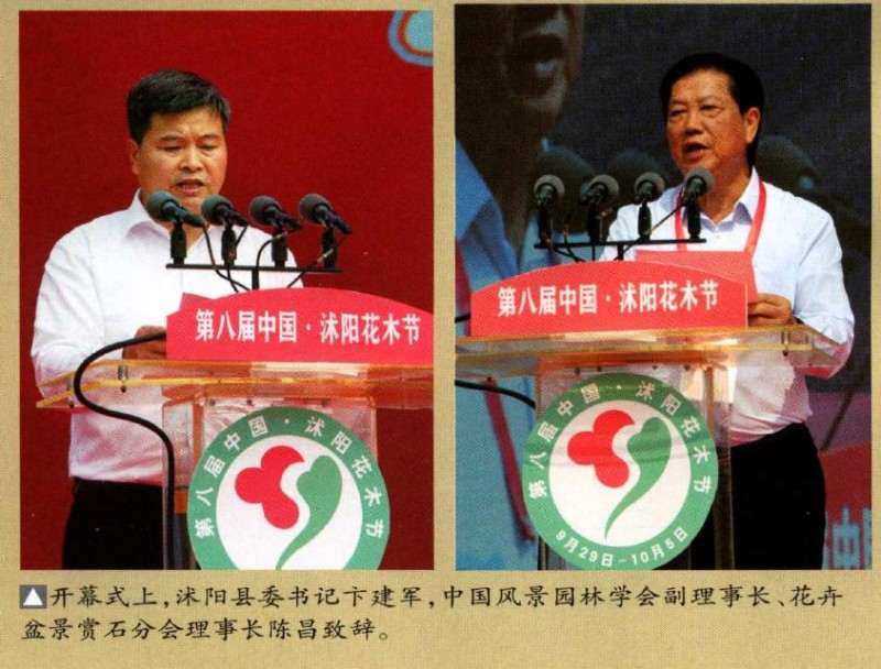 沭阳举办第十届全国盆景展