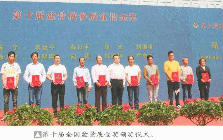 沭阳举办第十届全国盆景展