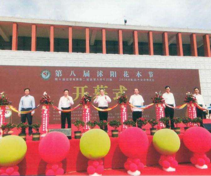 沭阳举办第十届全国盆景展