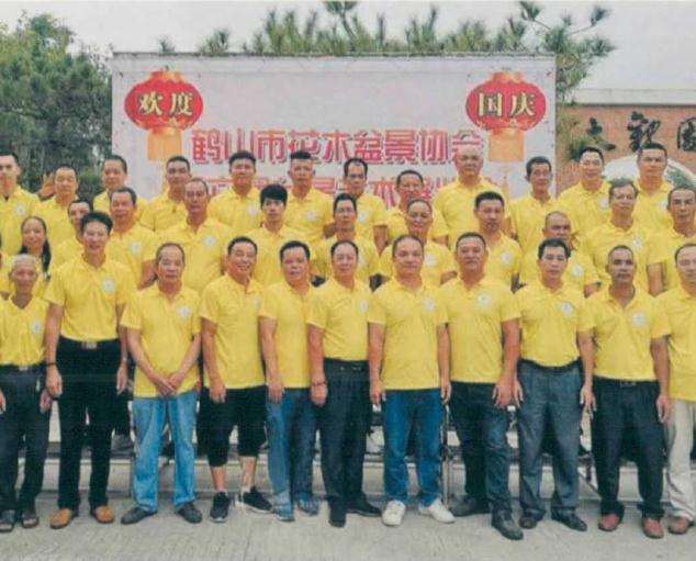 鹤山市第六届盆景艺术展