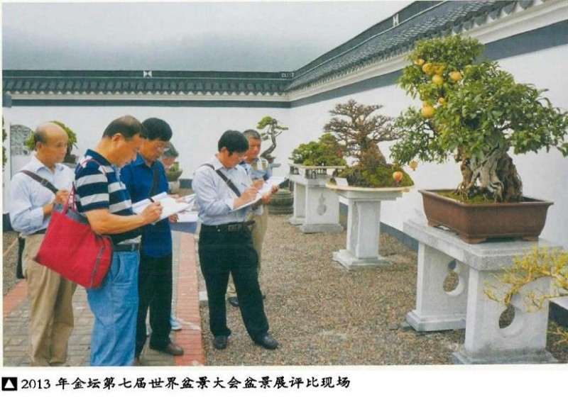 盆景展评比的4个意义和原则 图片