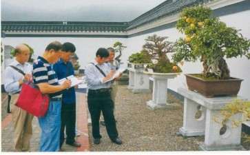 盆景展评比的4个意义和原则 图片