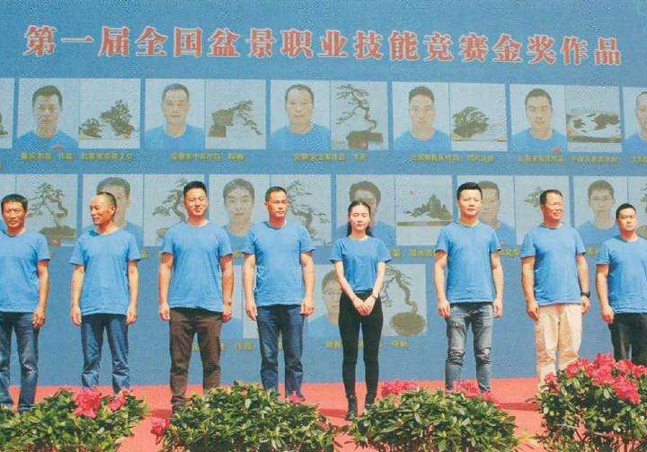 参展盆景作品有哪3个类型与规格