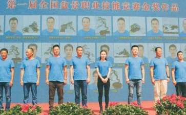 参展盆景作品有哪3个类型与规格