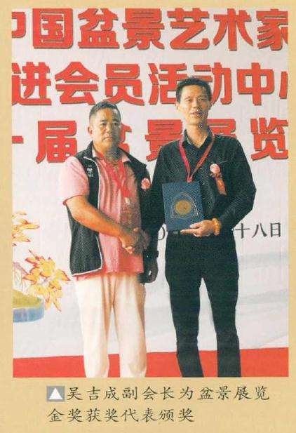 常州市第一届盆景展