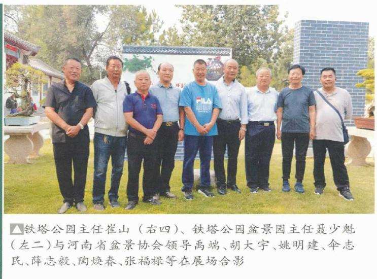 开封铁塔杯盆景邀请展成功举办