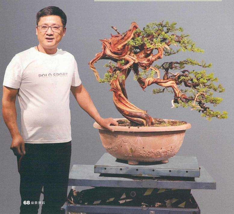 樊顺利教你怎么制作真柏盆景