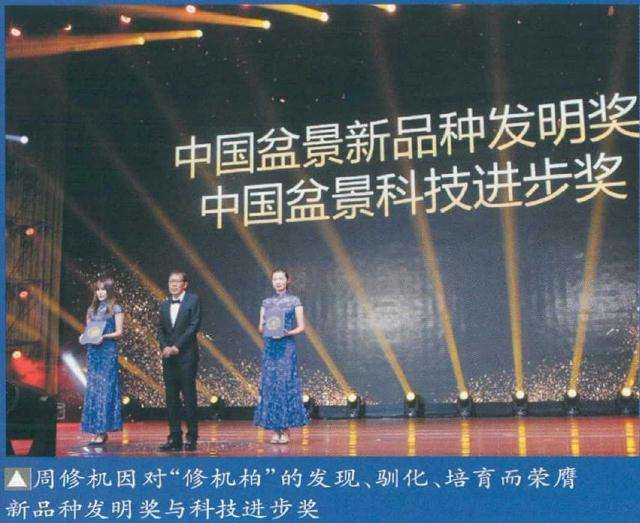 临沂举办盆景收藏家大展