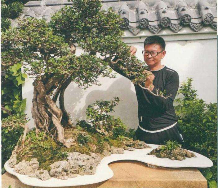 图解 树木盆景怎么改作水旱盆景的方法