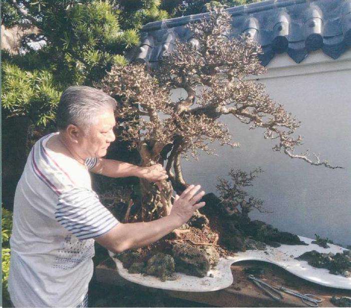 图解 树木盆景怎么改作水旱盆景的方法