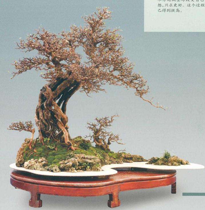 图解 树木盆景怎么改作水旱盆景的方法