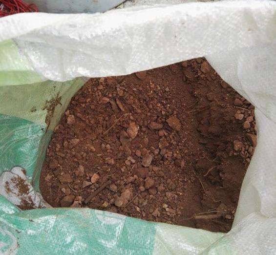 云南铁马鞭下山桩怎么用腐叶土和沙子的方法