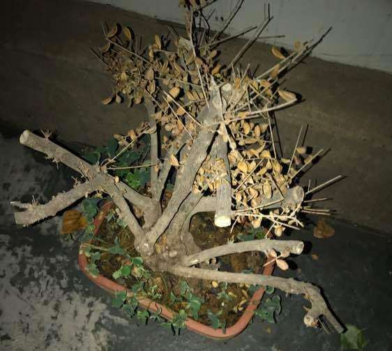 北京哪有车珠子下山桩的呀
