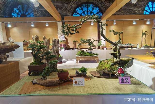 贵阳小品盆景精品展