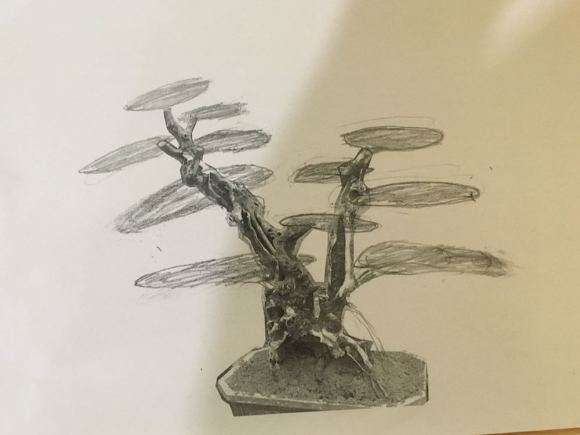 给檵木下山桩画的设计图