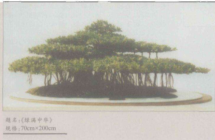 赏丁德仁先生《绿满中华》盆景作品