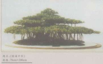 赏丁德仁先生《绿满中华》盆景作品