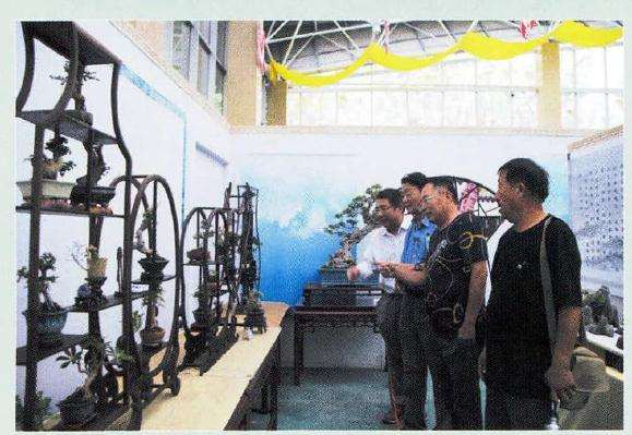 2016年河南地方盆景 蓬勃发展