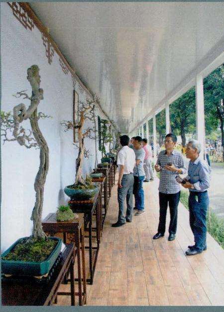 2016年广州番禺举办第9届全国盆景展