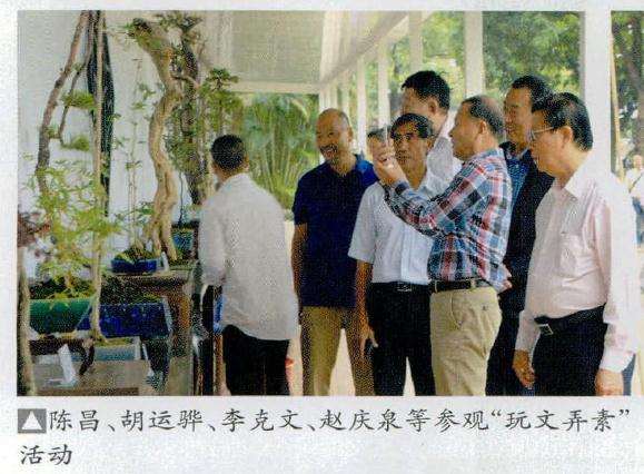 2016年广州番禺举办第9届全国盆景展