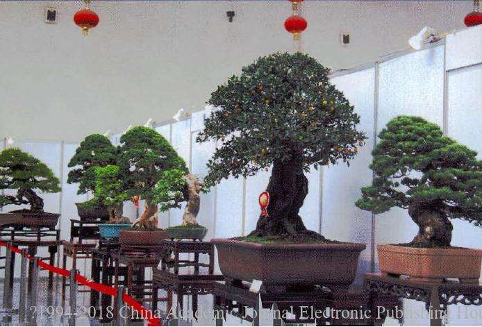 2016年 中国唐苑第四届唐风盆景展