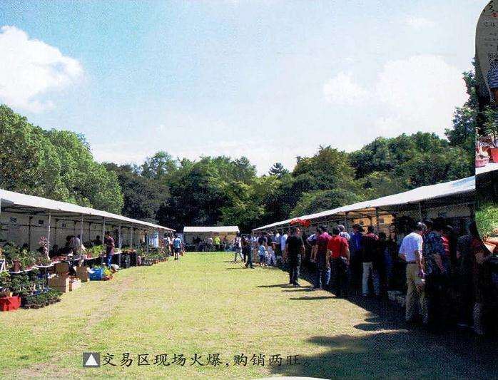 2016年上海第三届微型小品盆景展