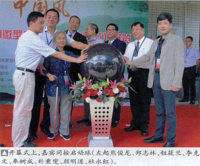 2016年上海第三届微型小品盆景展