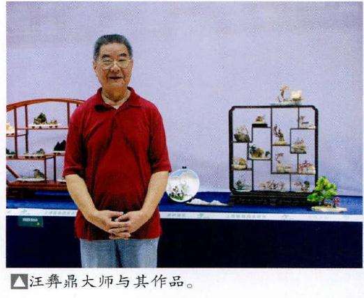 2016年上海第三届微型小品盆景展